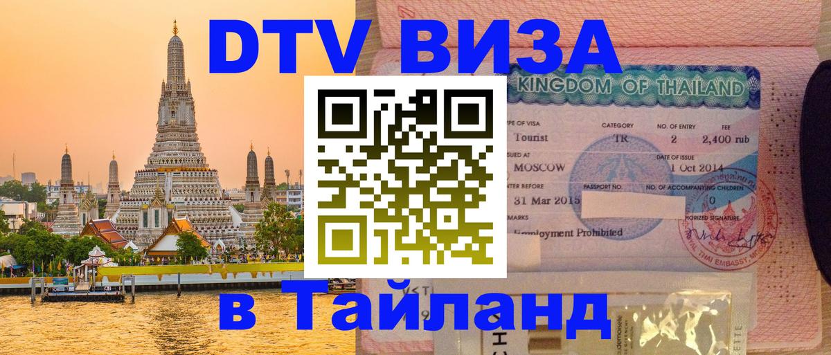 Оформление DTV визы под ключ: стоимость и тарифы, только загранпаспорт - Киров  19.11.2025 